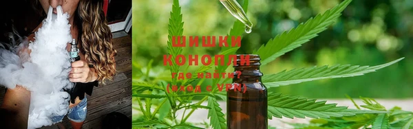 прущие крисы Кодинск