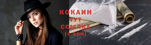 прущие грибы Анжеро-Судженск