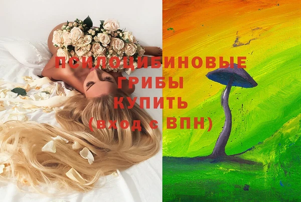 а пвп мука Козловка