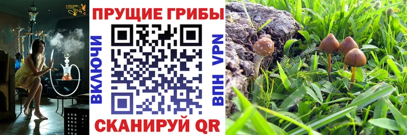 Галлюциногенные грибы мухоморы  Купить  Навашино 